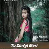 About Tu Zindgi Meri (Dj Remix) Song